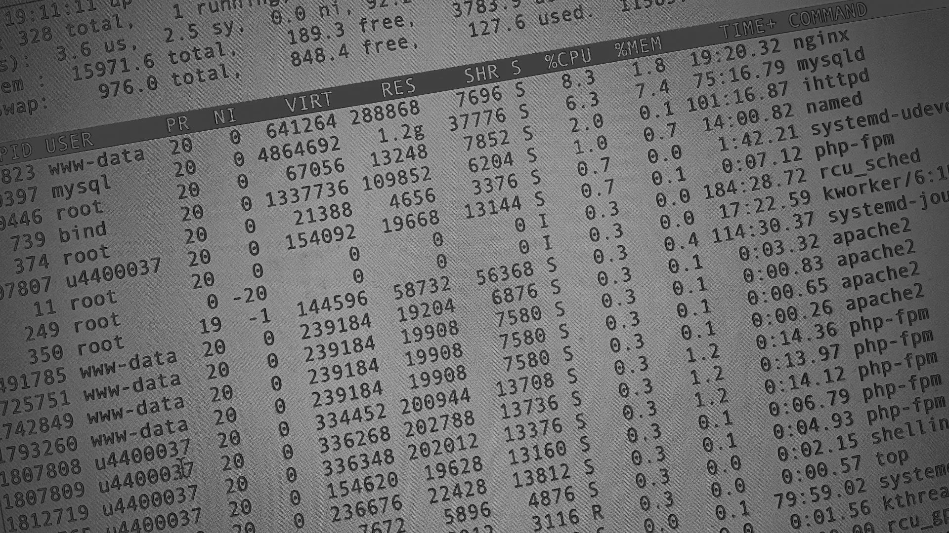 Настройка сервера в Благовещенске