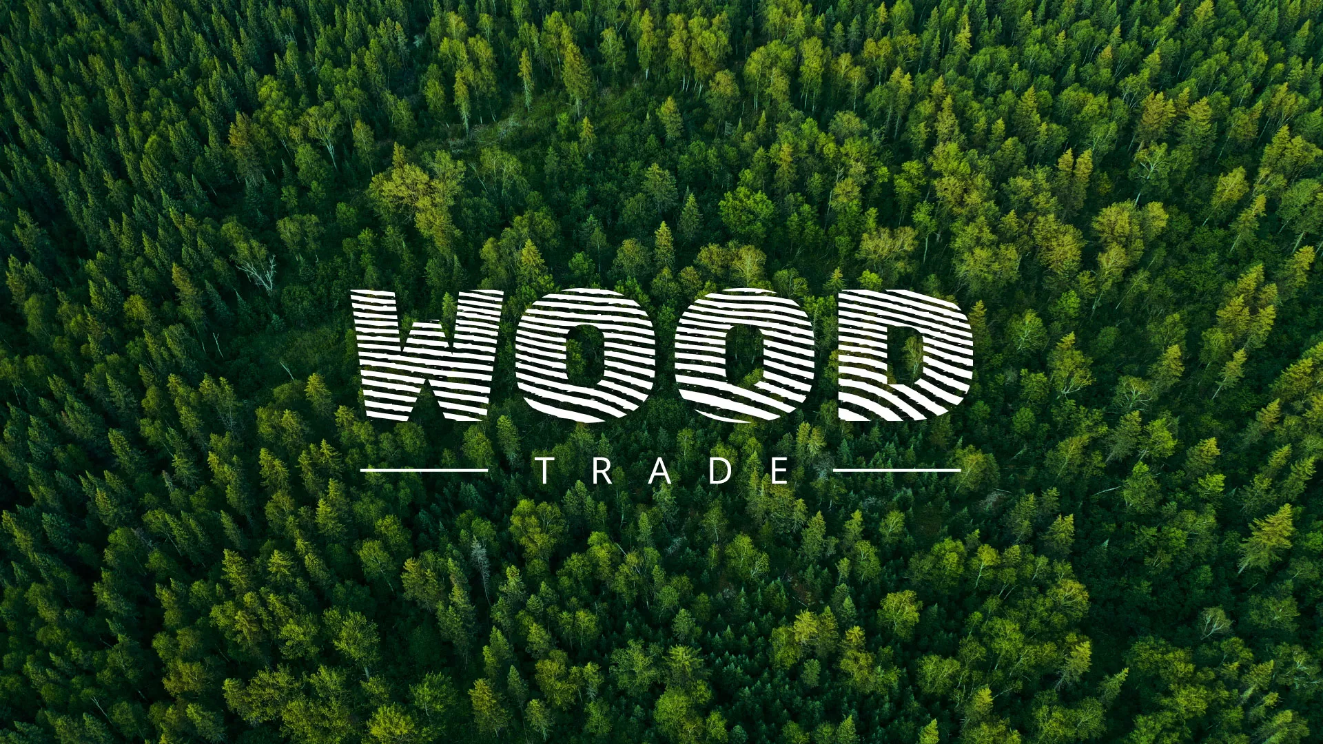 Разработка интернет-магазина компании «Wood Trade» в Благовещенске