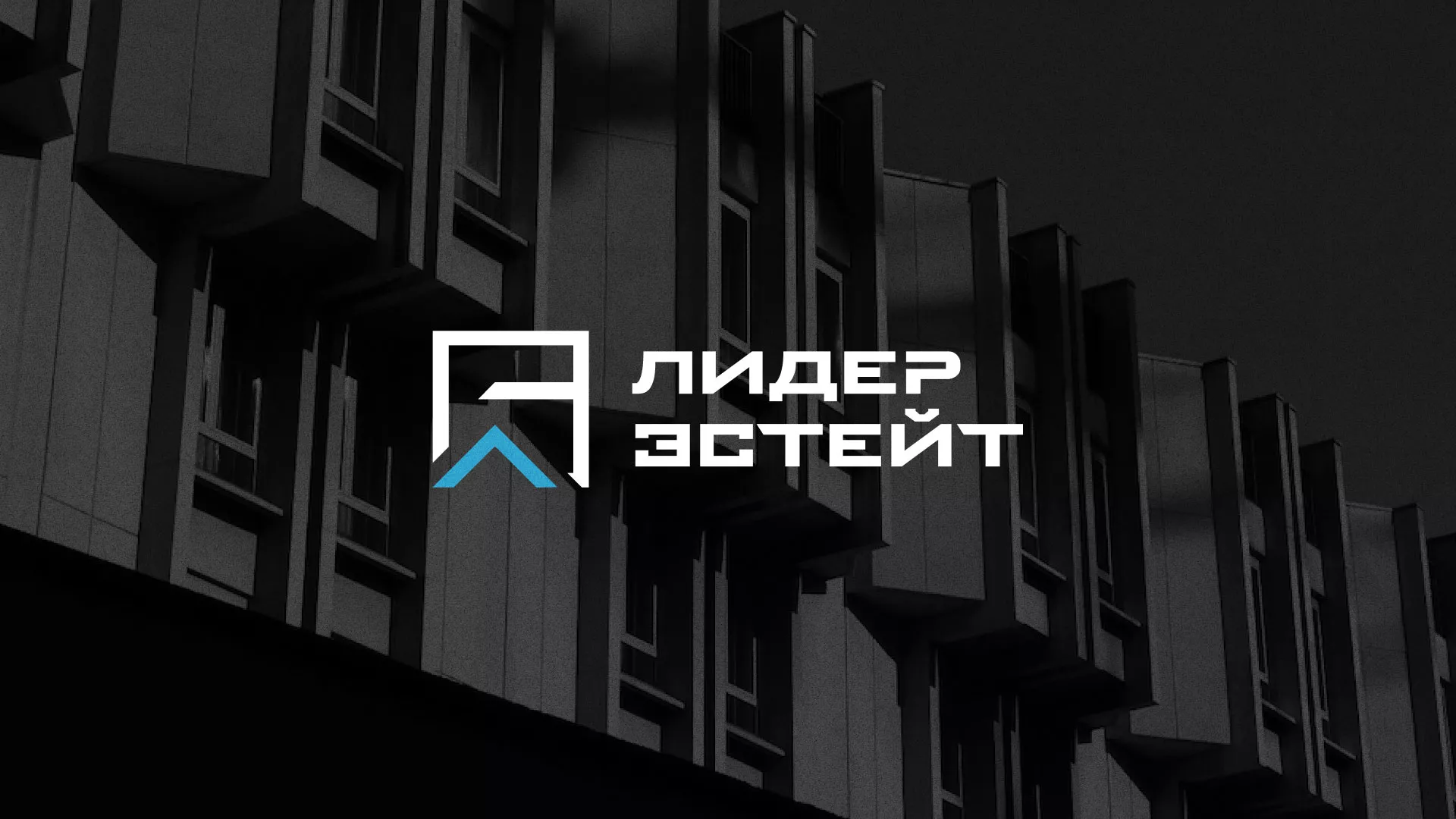 Разработка логотипа агентства недвижимости «Лидер Эстейт» в Благовещенске